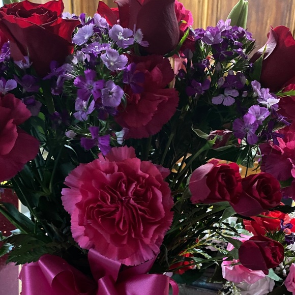 Meet your Posher, Gabrielle - Picture 1 of 1